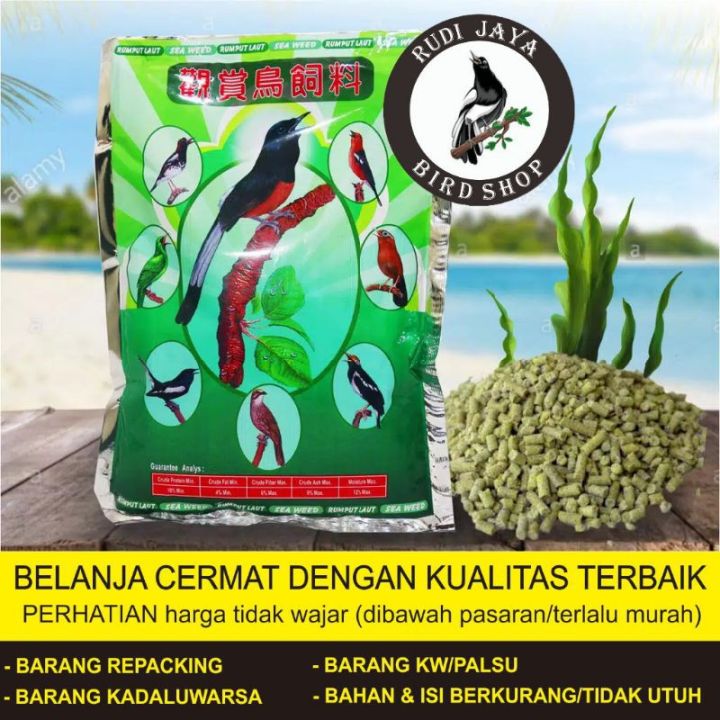 Naruseva porno Mini yubka va baland poshnali qizlar seks videoda chollarni qozgatmoqda