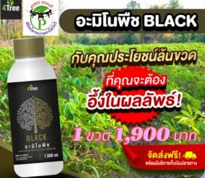 ​Amino Blackอะมิโนแบล็คใหญ่ 1000 cc.1 ขวด สารเสริมประสิทธิภาพพืช ช่วยเพิ่ม%น้ำยาง เพิ่มค่าแป้ง ป้องกันโรคโคนเน่า ท่อน้ำเลี้ยงเน่า รากเน่า เชื้อรา 4Treeของแท้100%