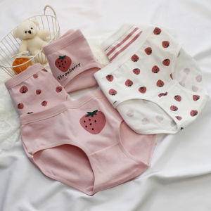 Set 5 Quần lót cute nữ cotton kháng khuẩn hoạ tiết dâu tây Sanri 326