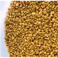 Biji Halba 250gr | Fenugreek Seed Kelabat Hulbah | Methi [ORIGINAL]. 