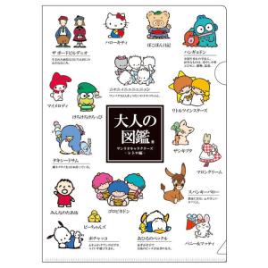 Sanrio & Characters 2-pockets A5 Translucent File (Characters Introduction)