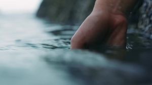 Biossance Squalane + Copper Peptide Rapid Plumping Serum - Face Serum for All Skin Types - Visibly Plumping + Firming Skin Fine Lines + Wrinkles Vegan Copper Peptides Hyaluronic Acid