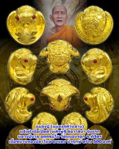 แมลงบู๊ (พญา แมลงภู่ คำ) หลังวิชาเปิดดวงเศรษฐี รุ่นแรก หลวงปู่นวล วัดหนองจอก เนื้อชนวนทองปลาไหล ตาแดง นำฤกษ์ แบบแกะลุ้นเลขเอง