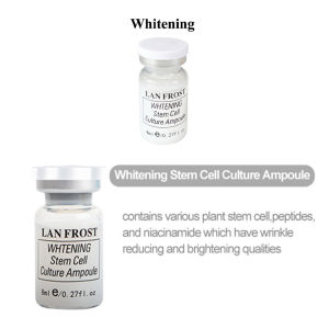 8ml BB Cream Glow Dermawhite Face Serum Essence Foundation Beauty Brightening Whitening Anti-Wrinkle Acne MTS Microneedle