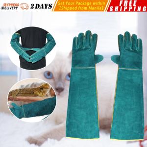 【2PCS/Pair】Safety Gloves Catch Dog Cat Reptile Animal Ultra Long Leather Green Pets Grasping Protective Gloves Garden Tool Gloves Anti-bite Gloves 1 Pair Safety Pet Gloves Catch Dog Cat Reptile Animal Ultra Long Pets Grasping Protective Gloves Garden Tool