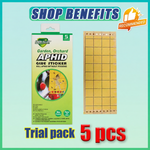 Super Strong Adhesion Lizard Trap Glue Perangkap Cicak 5pcs Gecko Sticky Board For Home Kitchen Balcony Wall Corner Indoor Outdoor Use lizard repellent Pelekat Cicak Lizard Trap Lizard Killer Cicak Repellent Gecko Repellent 抓壁虎神器