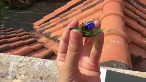 5PCSCrystal Green Leaf Glass Ladybug Ant Snail Bug Butterfly: Đồ trang trí tượng côn trùng đồ trang trí phòng tượng thủy tinh thổi tay đồ sưu tầm