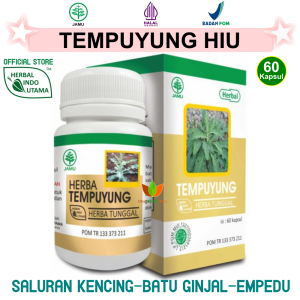 HERBA DAUN TEMPUYUNG HERBAL INDO UTAMA HIU 60 KAPSUL OBAT BATU GINJAL EMPEDU RADANG INFEKSI INPEKSI SALURAN KENCING HERBAL CAPSUL DAUN TEMPUYUNG