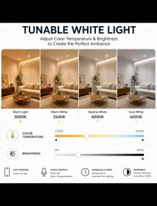 Tuya ZigBee 3.0 Smart Surface Spotlight 12W/24W CREE LED CCT Dimmable Ceiling Light