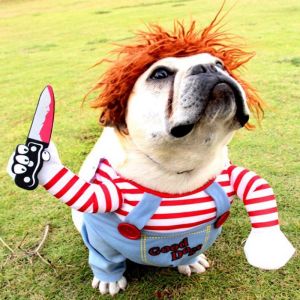 Pet Funny Clothes Dogs Cosplay Costume with Wig Set Pet Cat Dog Festival Party Halloween Christmas Comical Outfits
