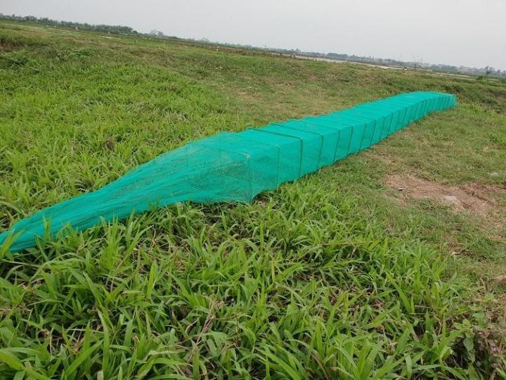 L%E1%BB%93ng%20%C4%90%C3%A1nh%20C%C3%A1%20B%E1%BA%AFt%20T%C3%B4m%20Cua%20C%C3%A1%20-%20L%E1%BB%93ng%20Ch%C3%A3%2019%20Khung%20-%2012%20c%E1%BB%ADa%20ng%E1%BB%A5c%2019%20khung%20-%20%C4%91%C3%A1nh%20b%E1%BA%AFt%20c%C3%A1%20-%20Image%205