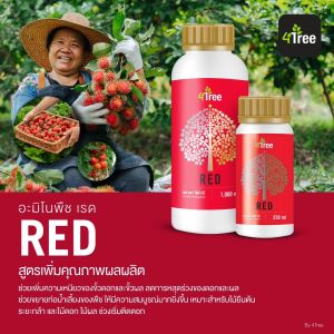 อะมิโนพืช เรด (Amino Red) ขวดใหญ่ ขนาด 1000 ml สูตรช่วยเพิ่มคุณภาพผลผลิต ให้ผลผลิตดก ผลใหญ่