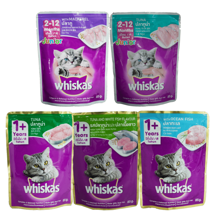 Whiskas Pouch Kitten and Adult Cat Wet Food 80g Lazada PH