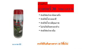 ยาทาหน้ายาง ยางเกอร์ 30 สำหรับยาพารา