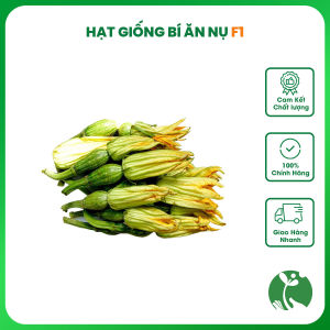 Hạt giống Bí ăn nụ F1 Rocket - Gói 2gr - Tỉ lệ nảy mầm >90% - Trồng quanh năm