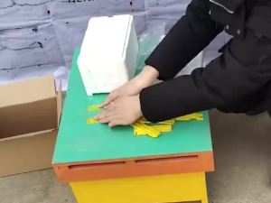 Hive Queen Mating Nuc Swarm Nucleus Hive Beehive Rearing Portable Harvest Pollination Breeding Colony Fecundation