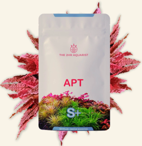 THE 2HR Aquarist APT SKY PLUS (S+)
