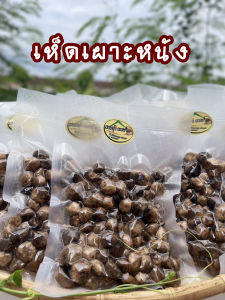 🍄เห็ดเผาะหนัง🍄เห็ดเผาะ/เห็ดถอก อ่อน90% เห็ดป่าแท้ธรรมชาติ หากินยาก เป็นเห็ดหนังกลางฤดูถนอมไว้ต้มสุกแล้ว รับประกันสินค้า