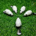 Mồi lure nhái hơi màu trắng ngọc trinh 8g đi nổi và 13g đi lửng - Mồi câu lure nhái hơi phukiencaulure. 