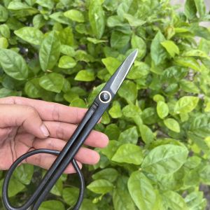 Kéo Tỉa Cây Bonsai Cây Cảnh Tỉa Lá Tỉa Nhánh. Làm Từ Thép Đúc Nguyên Khối. Dụng Cụ Bonsai Chuyên Nghiệp