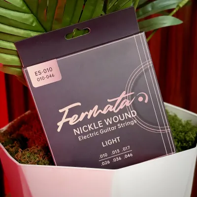 Fermata Nickel Wound Electric Guitar Strings
