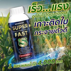 ซุปเปอร์ฟาส จับใบคุณภาพสูง  เร่งการดูดซึมเกาะติดแน่น เพิ่มประสิทธิภาพฉีดพ่นทางใบ ปุ๋ยน้ำ ฮอร์โมนพืช