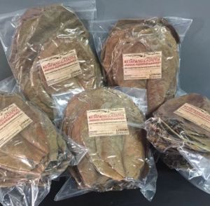 Dried Talisay Leaves for Aquarium Needs (Water Conditioner) for Crayfish