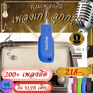 ส่งด่วน USB ยี่ห้อ Apacer MP3 รวมเพลงดัง ลูกทุ่งอินดี้ เพลงดัง ยอดนิยมที่กำลังฮิตติดกระแส ใหม่ล่าสุด