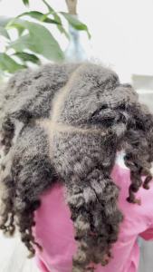 Kid’s Hair Growth Set. Shampoo & Conditioner with black castor oil Wheat Protein Argan Jojoba Aloe Vera  Mask Treatment and Leave-in Sulfate Paraben Free No harsh chemicals.