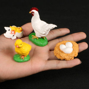 HAPP For Kid Educational Plastic Models Spider Insect Animals Butterfly Growth Cycle Simulation Animals Life Cycle Figurine Growth Cycle Model Action Figures