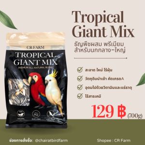 สินค้าราคาพิเศษ Early Bird !!!!  ราคามีจำนวนจำกัด  อาหารนก ธัญพืชผสมเกรดพรีเมียม Tropical Giant Mix (700g)