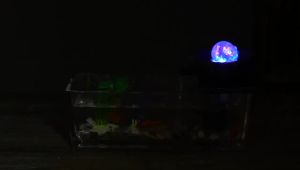 Fountain Loop Flowing Water Ornaments Feng Shui Fortune Courtyard Indoor Waterscape Decoration Office Water Plants Pebble Glass Fish Tank