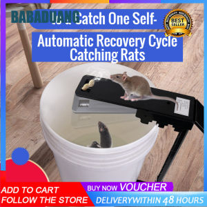 Rat trap home automatic continuous and efficient catching and killing of rats