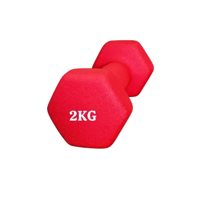 Tạ Tay Bọc Cao Su Loại 2 KG - Tập Gym Thể Thao Tại Nhà Phòng Tập