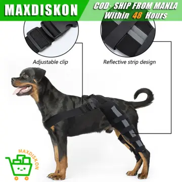 Shop Hip Brace For Dog with great discounts and prices online Sep 2024 Lazada Philippines