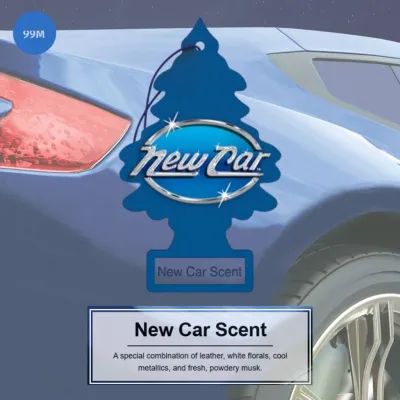 Little Trees - Car Air Freshener - Hanging Tree Provides Long Lasting Scent for Auto or Home