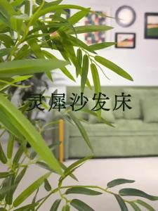 Sofa Bed Solid Wood Stone Slab Folding Electric Coffee Table Lift-up Dual-use Living Room Sofa And Coffee Table Set Sofa