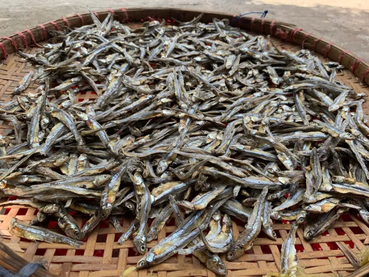 %5BHCM%5DC%C3%A1%20rim%20m%E1%BA%B7n%20ng%E1%BB%8Dt%20C%C3%A1%20kh%C3%B4%20rim%20chua%20ng%E1%BB%8Dt%20Ca%20kho%20kho%20500G%20kh%C3%B4%20c%C3%A1%20c%C6%A1m%20s%E1%BB%8Dc%20tr%E1%BA%AFng%20h%E1%BA%A3o%20h%E1%BA%A1ng%20c%C3%A1%20c%C6%A1m%20kh%C3%B4%20%C4%91%E1%BA%B7c%20s%E1%BA%A3n%20Ph%C3%BA%20Qu%E1%BB%91c%20-%20Image%206