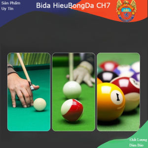 Cơ bida 145cm vân kim cương Diamondđầu cơ gậy lớn 13mmdùng cho bi 8/9kiểu chia đôi dễ gập cất dành cho chuyên nghiệp - Nghị Thể Thao Bóng Đá Bida