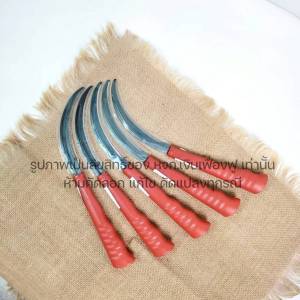 เคียว เคียวเกี่ยวข้าว แพ็ค 12 ด้าม ขนาด 12 นิ้ว ด้ามพลาสติก ถางหญ้า