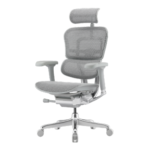 AM Office Ergohuman Elite 2 Ergonomic Chair Mesh Chair