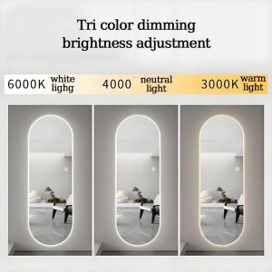 Smart Full length mirror with Led light Human body induction TriColor Light for living room bedroom