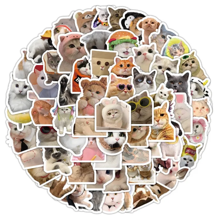 100PCS Realistic and Cute Cartoon Little Cats Graffiti Stickers for ...