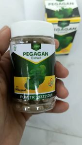 Extract Pegagan 60 kapsul | Syifa Herbal | untuk kesehatan otak