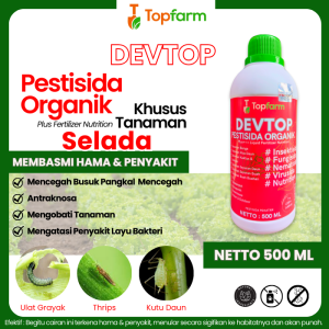 Obat Hama Selada Hidroponik / Obat Tepung Buat Daun Selada / Obat Seladah / Obat Hama Tanaman Selada Hidroponik / Obat Sayuran Selada / Obat Buat Daun Selada / Obat Akar Daun Selada