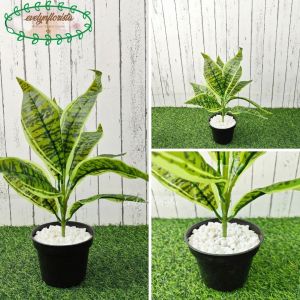 Pohon Hias Artificial Lidah Mertua X9 Pot Dasar Hitam & Pot Melamine Putih Hiasan Meja Meja Cafe Aesthetic