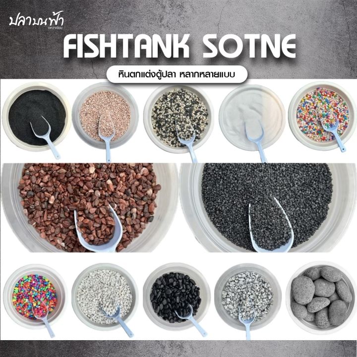 หินโรยหน้ากระถางและตู้ปลา สีสันสวยงาม
