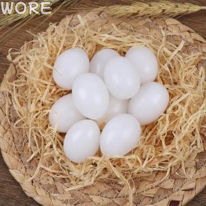 WORE 10Pcs White Solid Plastic Solid Pigeon Eggs Dummy Eggs Hatching Supplies