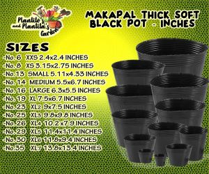 10 PCS Makapal Thick Soft Black Pots Wholesale