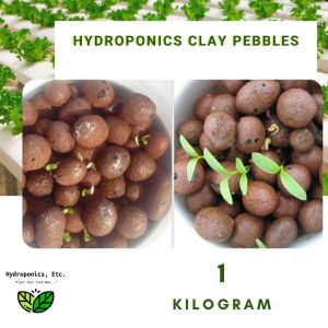 Hydroton Clay Pebbles (1kg) by Hydroponics Etc.
